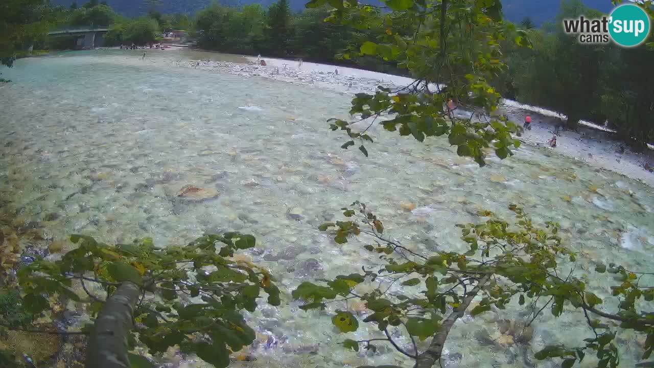 Webcam Čezsoča – Amazing view of Soča River