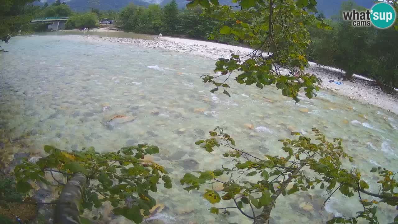 Spletna kamera Čezsoča – Očarljiv pogled na reko Sočo