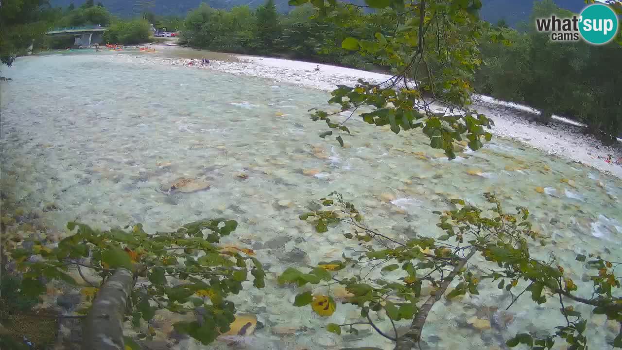 Livecam Čezsoča – Il splendido fiume Isonzo – Soča