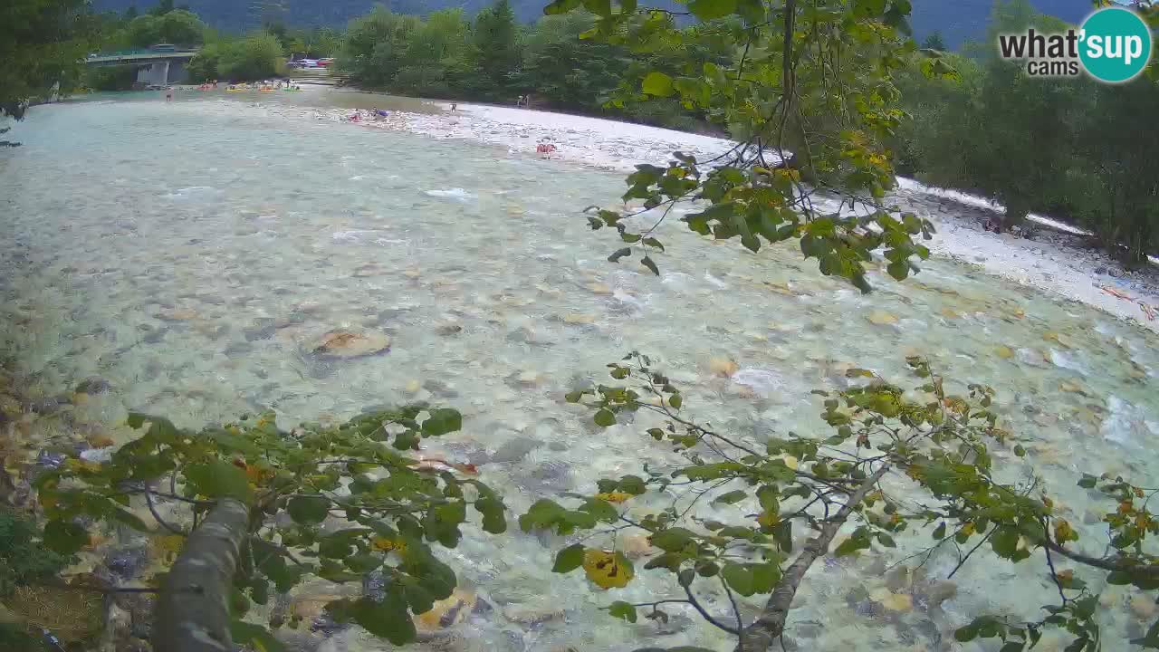 Livecam Čezsoča – Il splendido fiume Isonzo – Soča