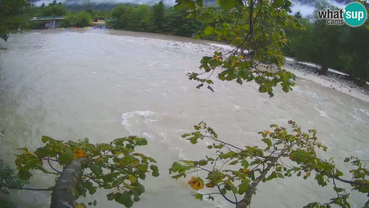 Livecam Čezsoča – Il splendido fiume Isonzo – Soča