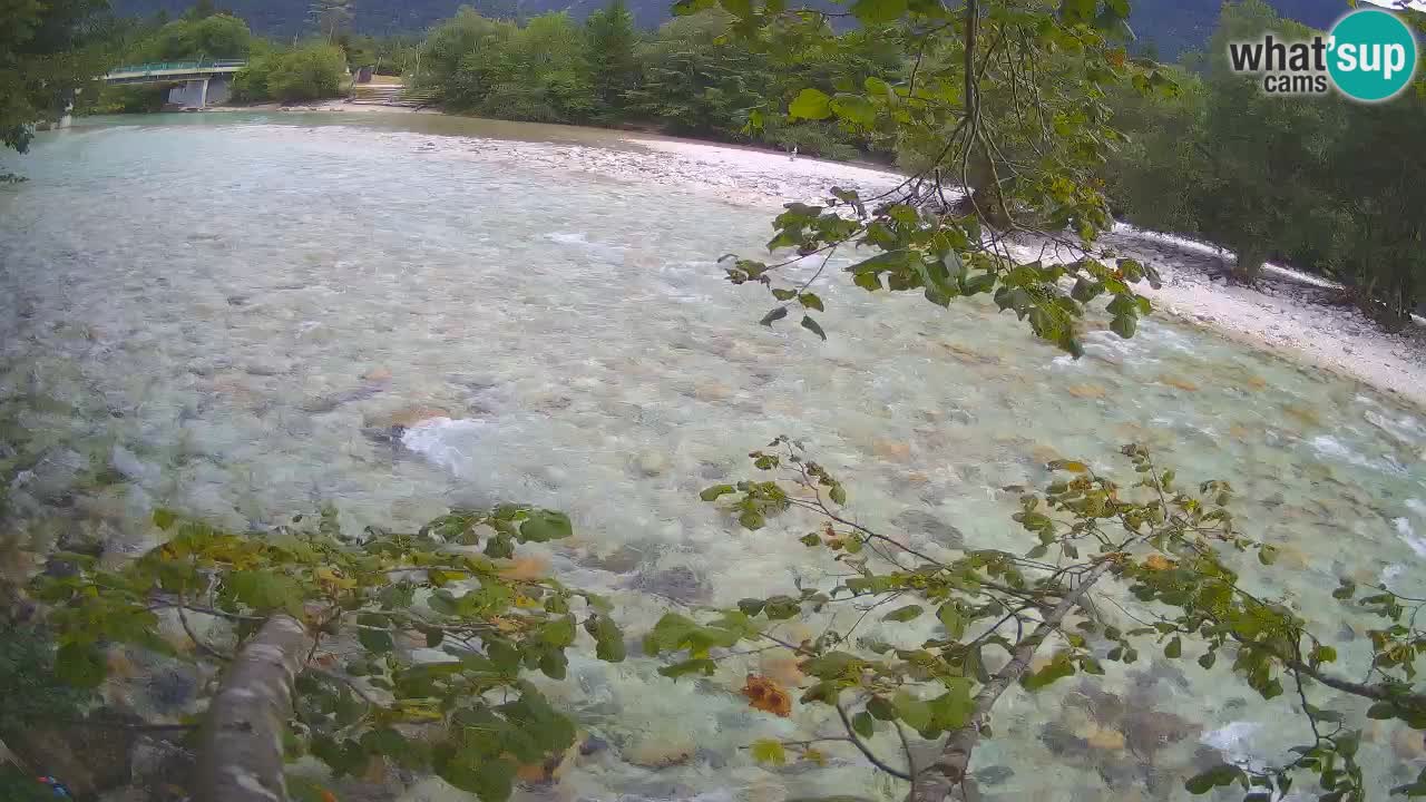 Camera web Čezsoča – Impresionante vista del río Soča