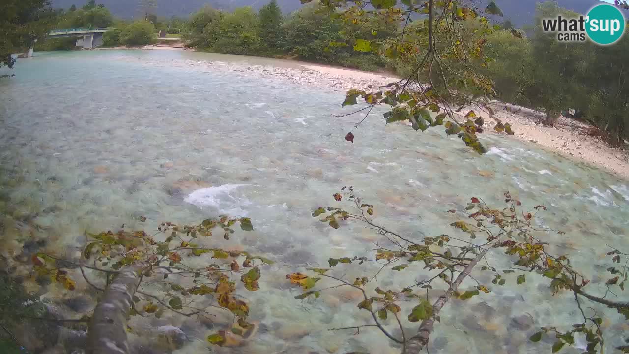 Livecam Čezsoča – Il splendido fiume Isonzo – Soča