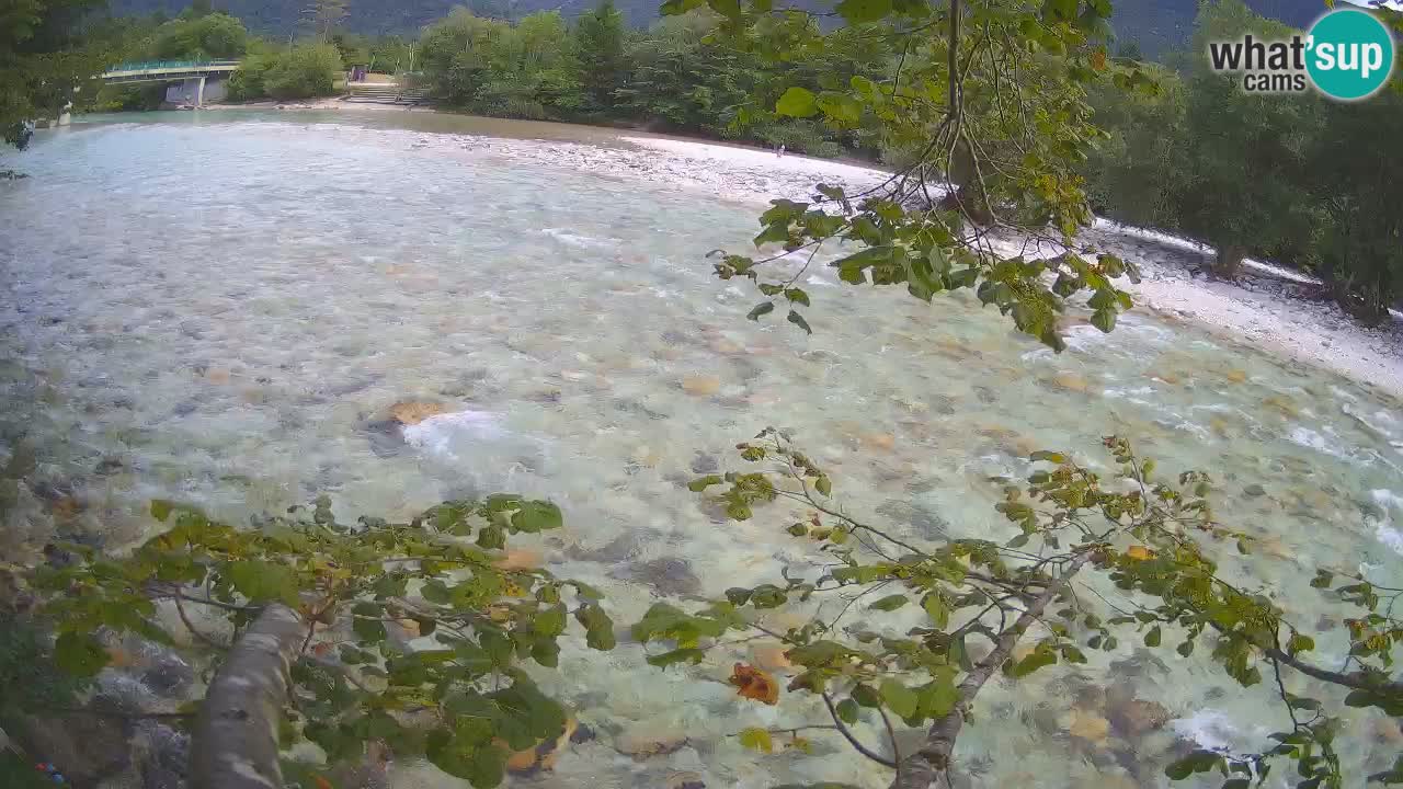 Webcam Čezsoča – Amazing view of Soča River