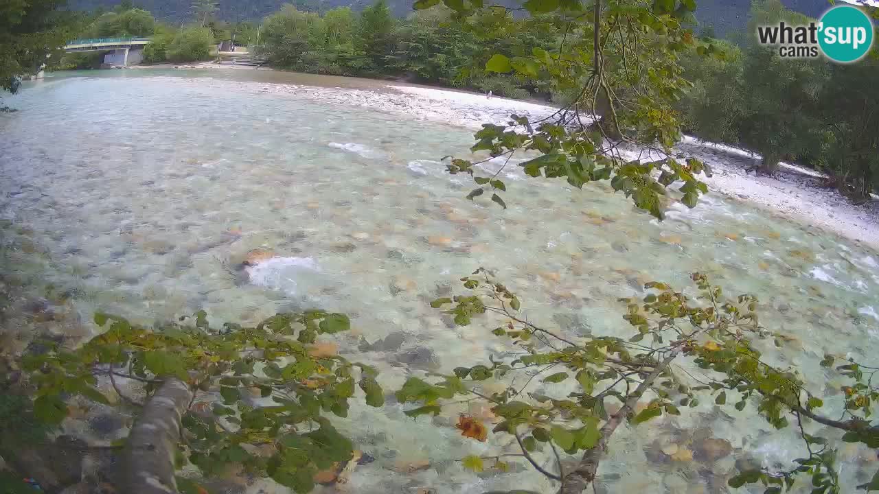 Livecam Čezsoča – Il splendido fiume Isonzo – Soča