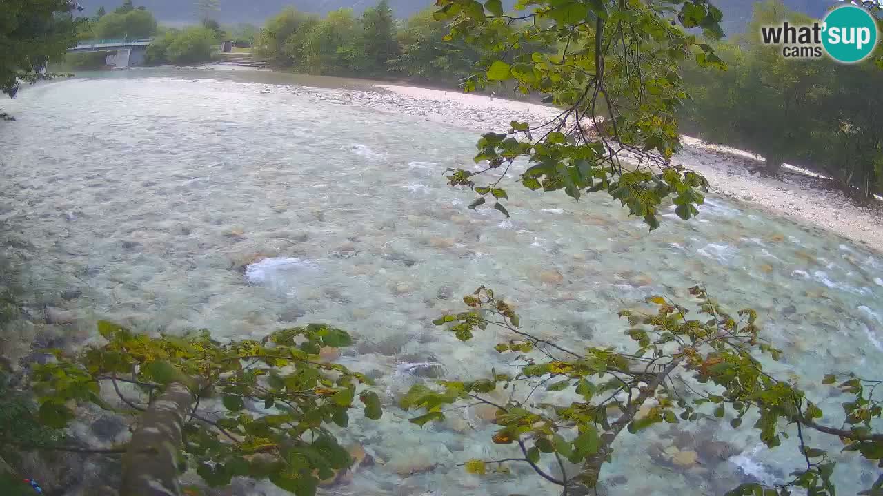 Livecam Čezsoča – Il splendido fiume Isonzo – Soča