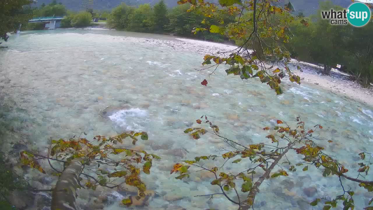 Camera web Čezsoča – Impresionante vista del río Soča