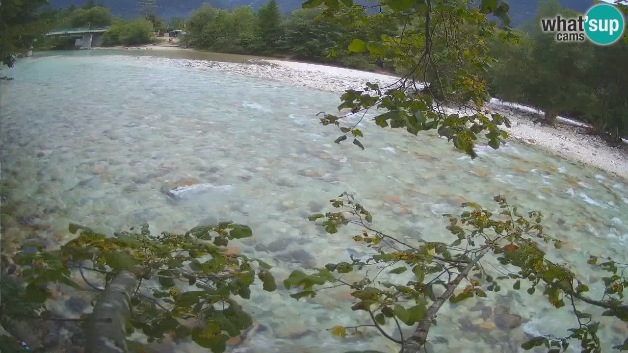 Spletna kamera Čezsoča – Očarljiv pogled na reko Sočo