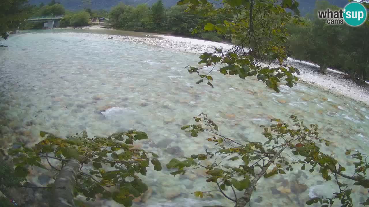 Livecam Čezsoča – Il splendido fiume Isonzo – Soča