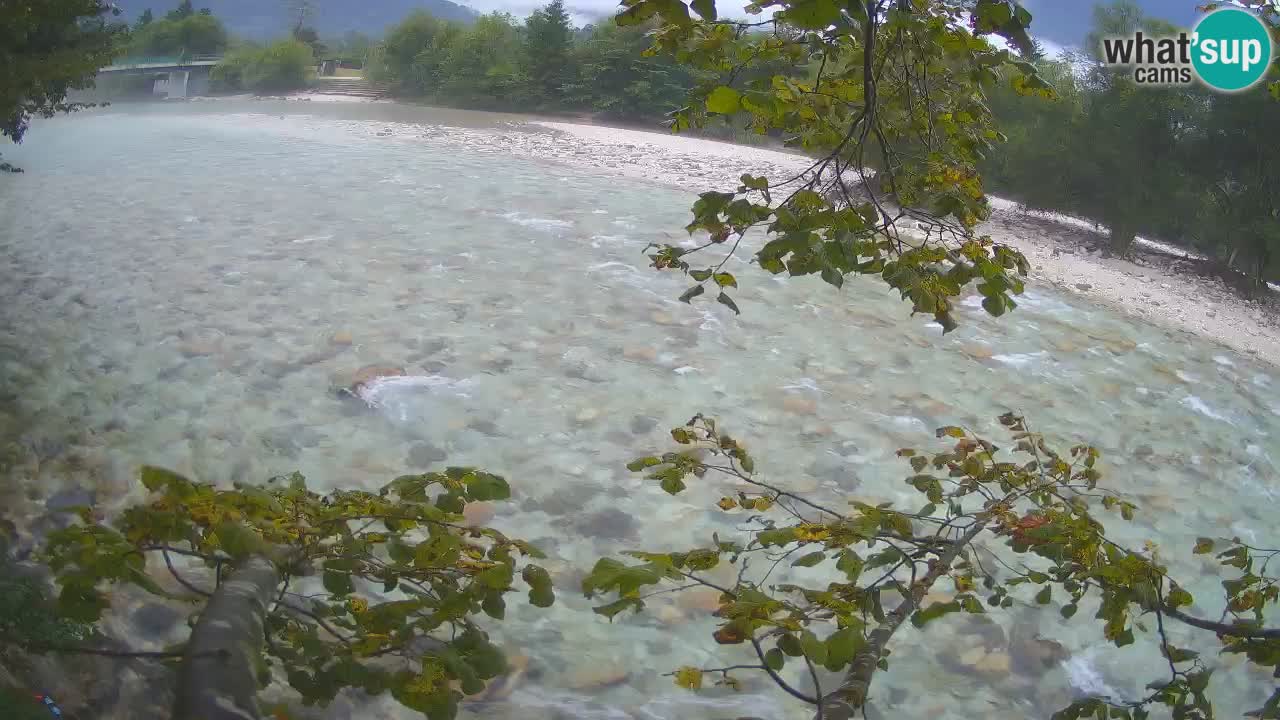 Livecam Čezsoča – Il splendido fiume Isonzo – Soča