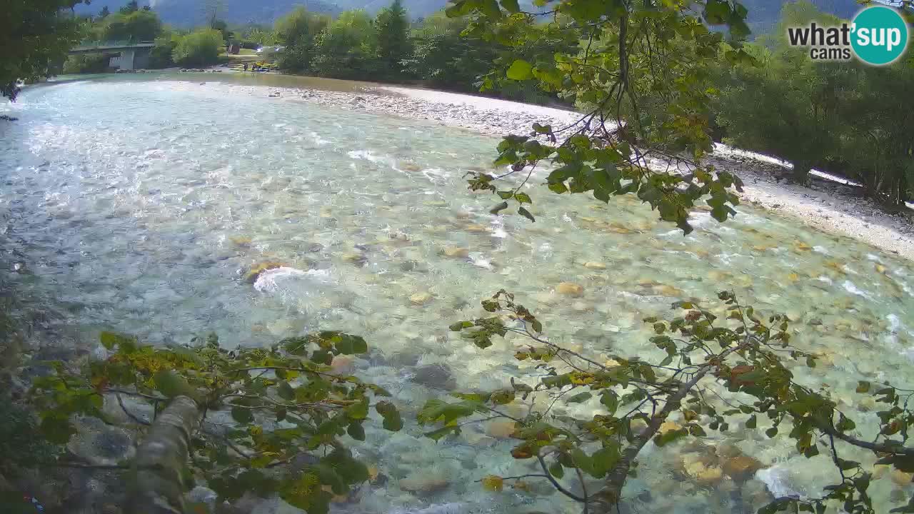 Livecam Čezsoča – Il splendido fiume Isonzo – Soča