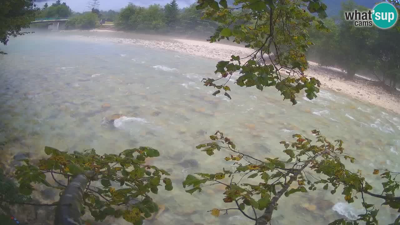 Livecam Čezsoča – Il splendido fiume Isonzo – Soča