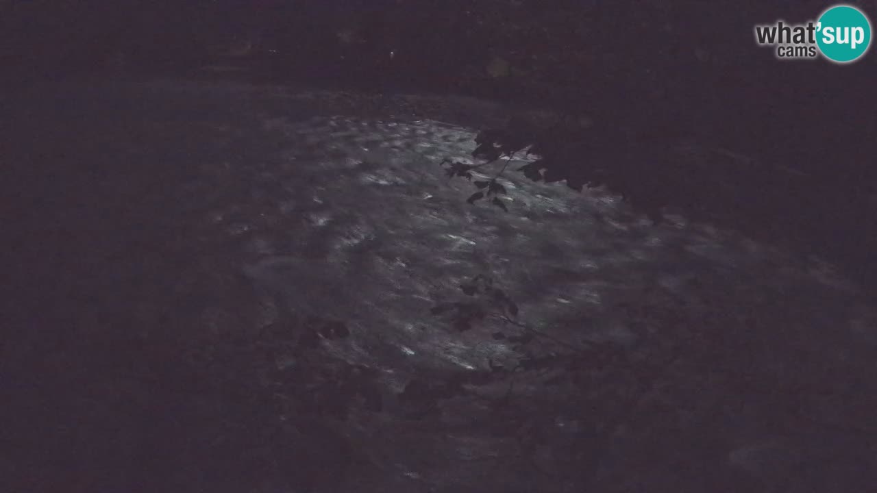 Spletna kamera Čezsoča – Očarljiv pogled na reko Sočo