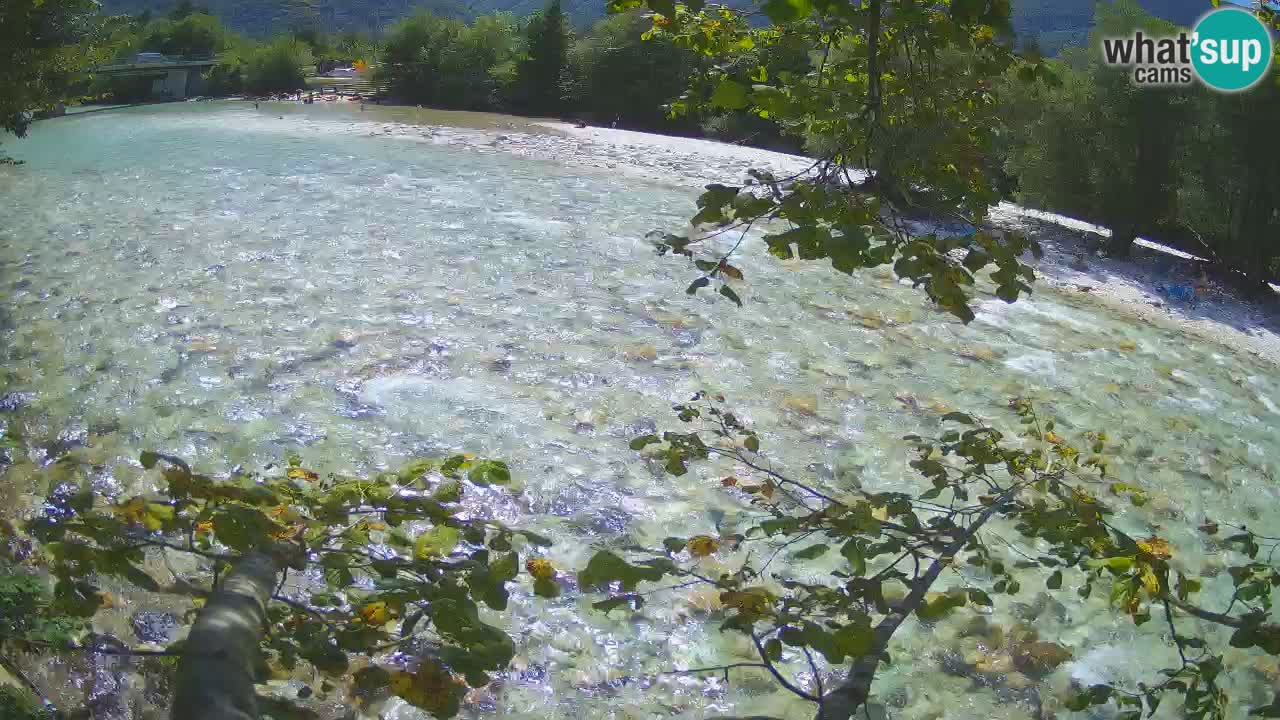 Web kamera Čezsoča – Nevjerojatan pogled na rijeku Soču