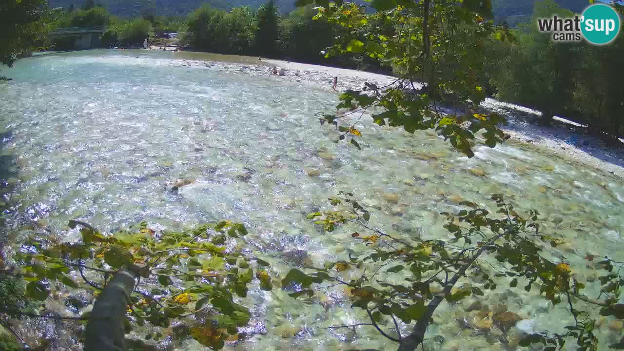 Livecam Čezsoča – Il splendido fiume Isonzo – Soča