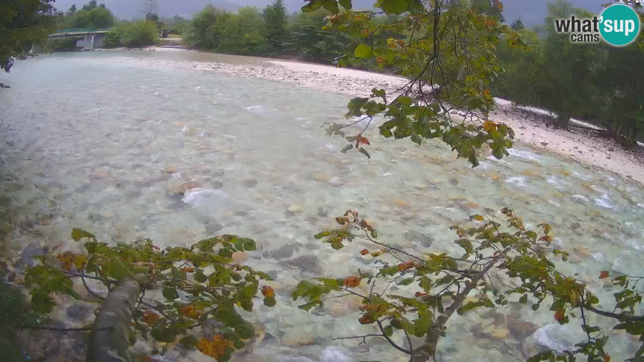 Spletna kamera Čezsoča – Očarljiv pogled na reko Sočo
