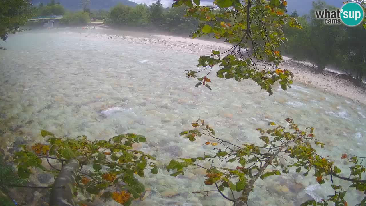 Livecam Čezsoča – Il splendido fiume Isonzo – Soča