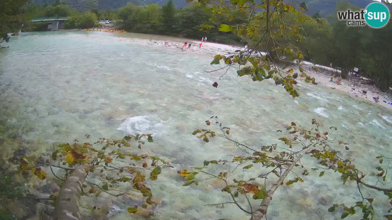 Livecam Čezsoča – Il splendido fiume Isonzo – Soča