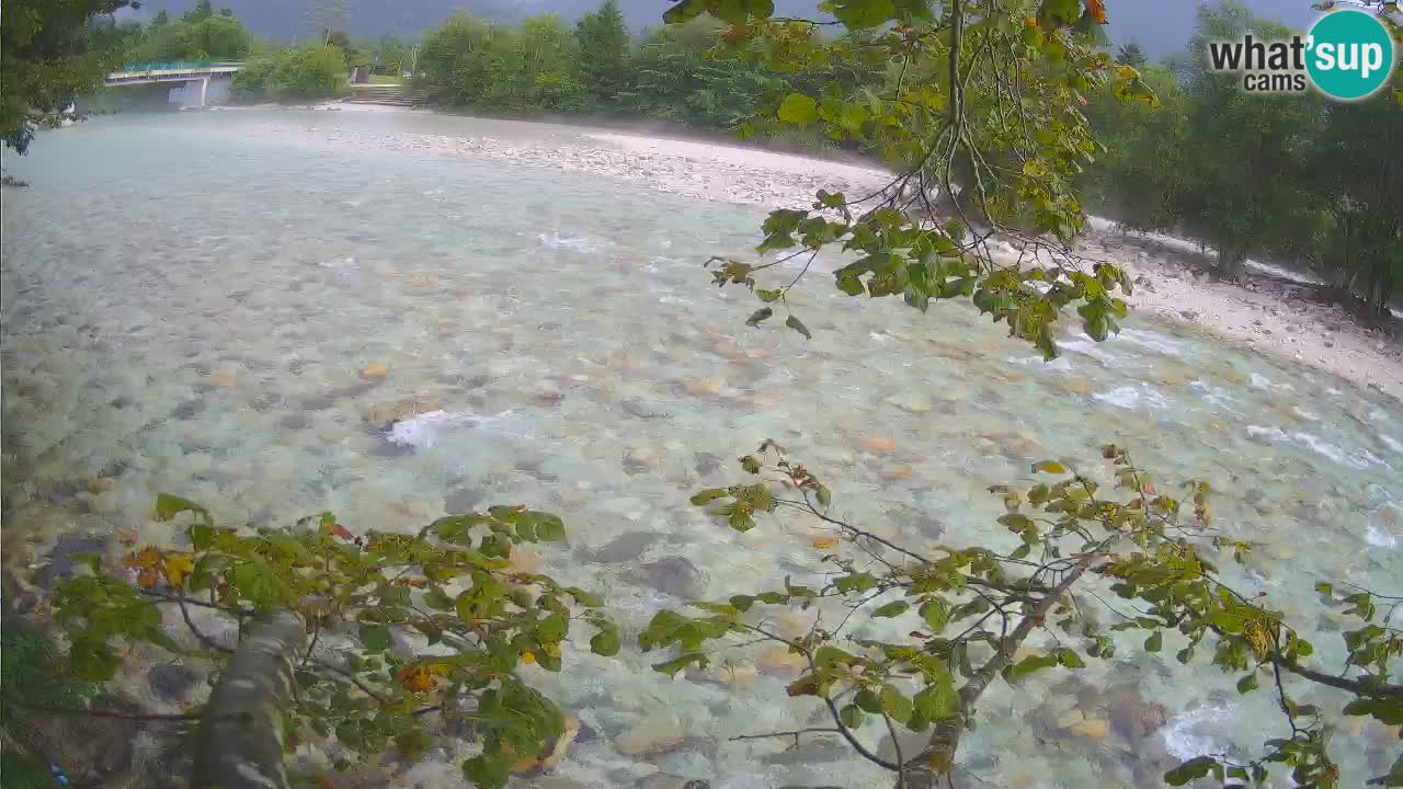 Spletna kamera Čezsoča – Očarljiv pogled na reko Sočo