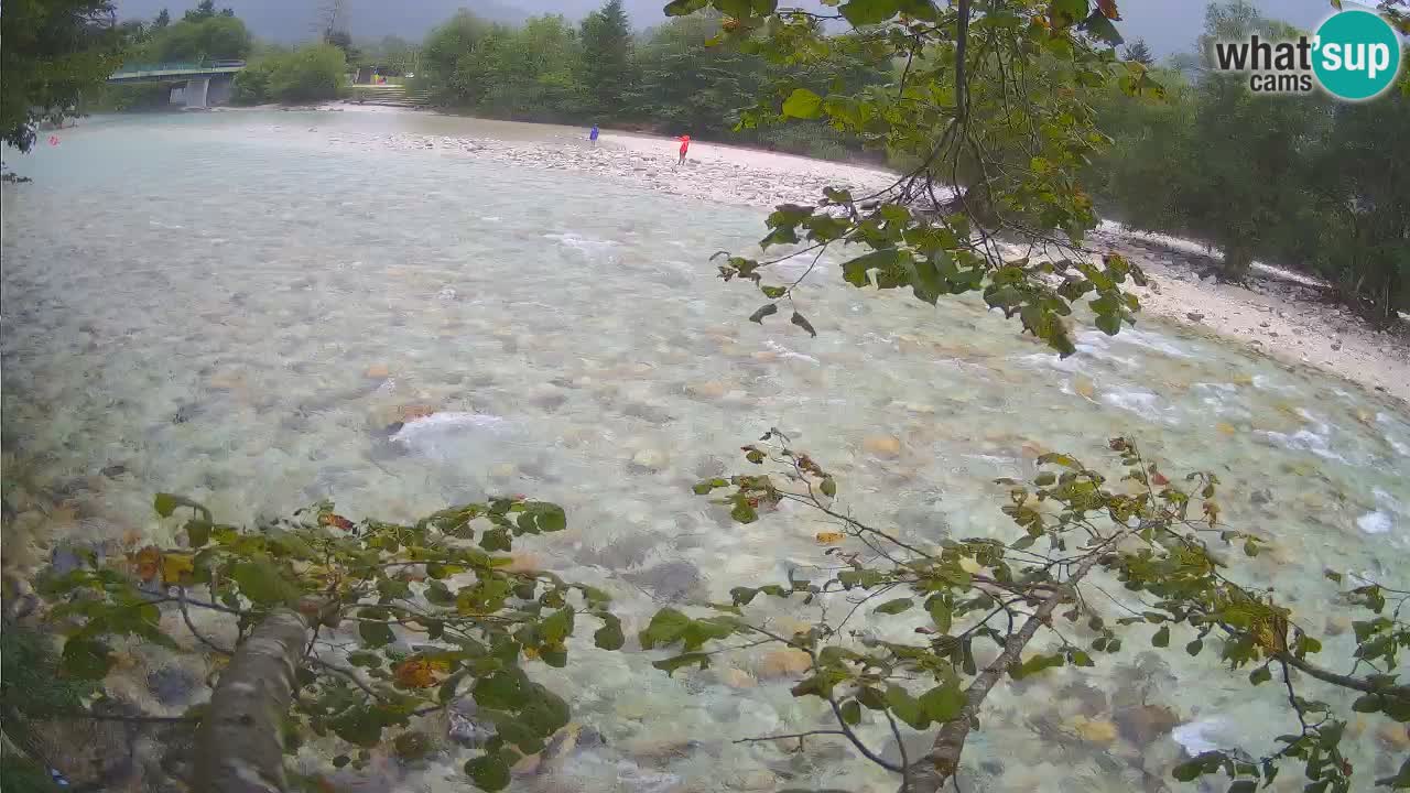 Livecam Čezsoča – Il splendido fiume Isonzo – Soča