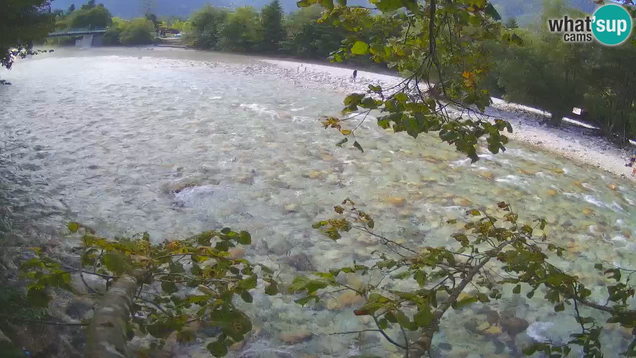 Spletna kamera Čezsoča – Očarljiv pogled na reko Sočo