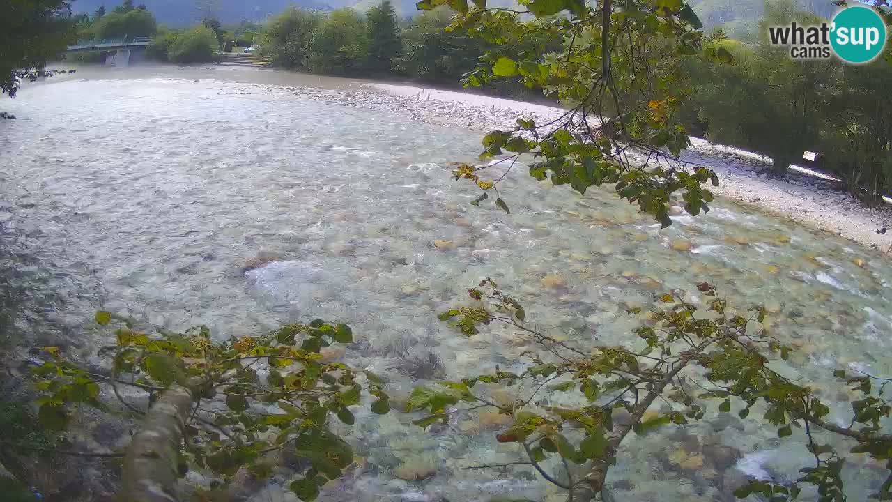 Spletna kamera Čezsoča – Očarljiv pogled na reko Sočo