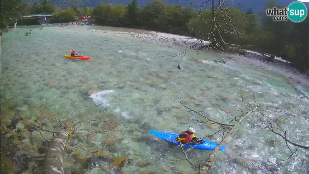 Livecam Čezsoča – Il splendido fiume Isonzo – Soča