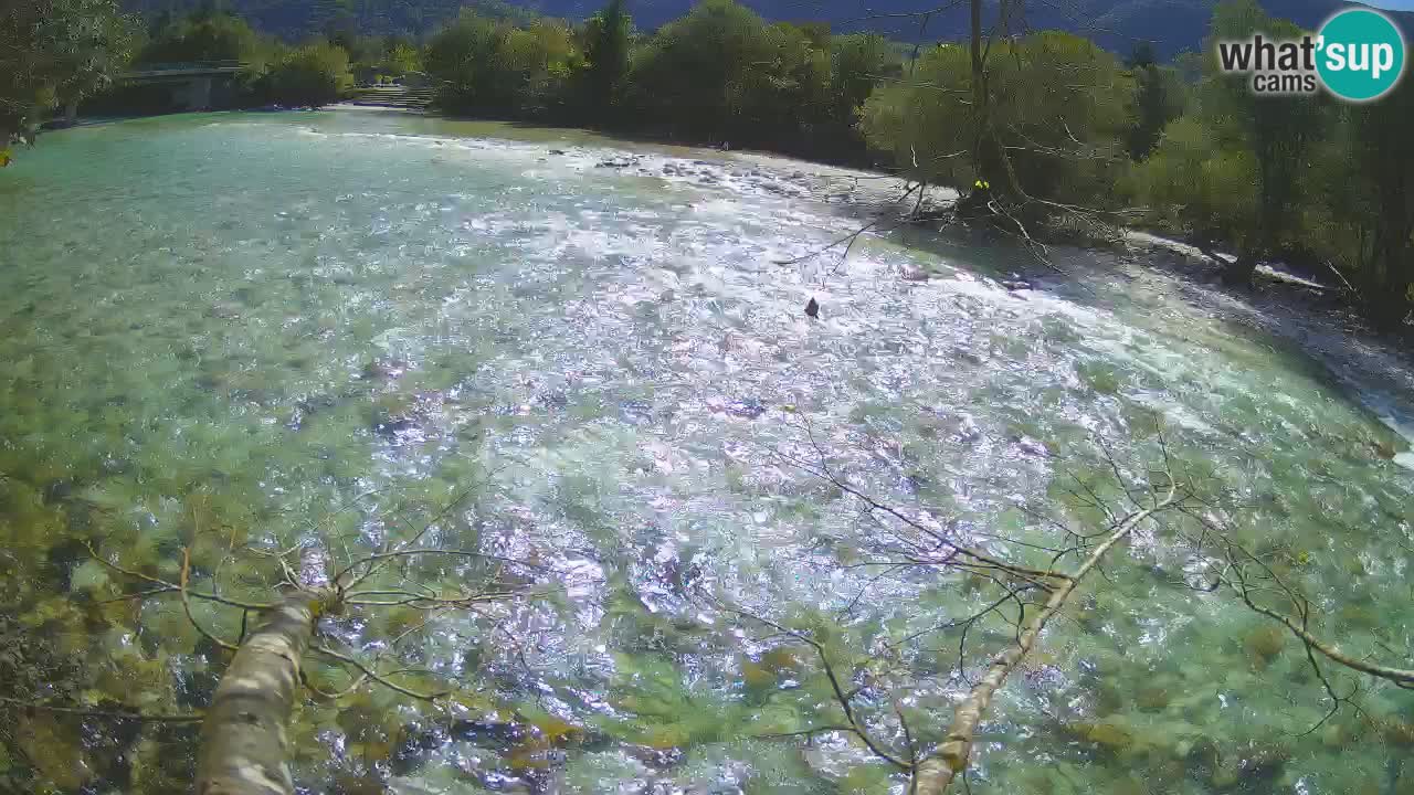 Spletna kamera Čezsoča – Očarljiv pogled na reko Sočo