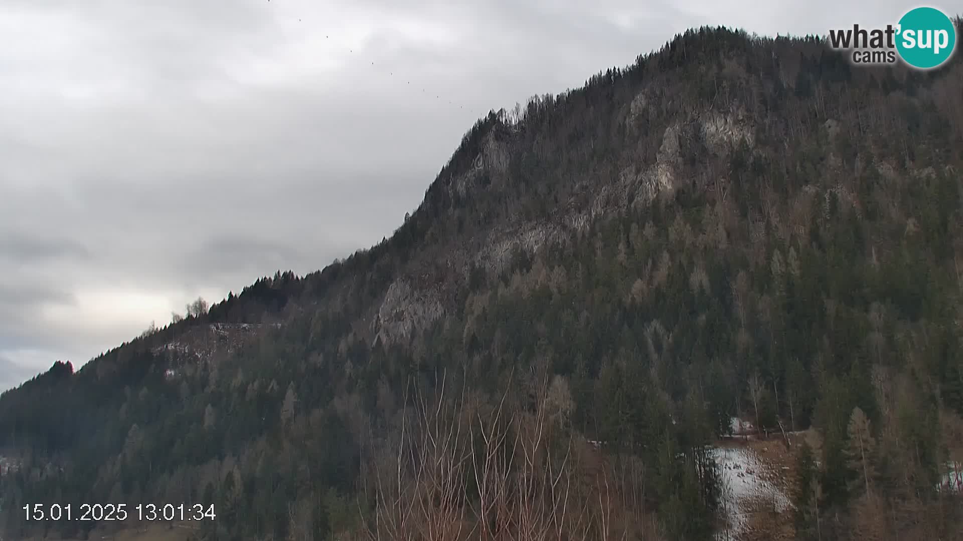 Črna na Koroškem ski slope | Koroška | Slovenia