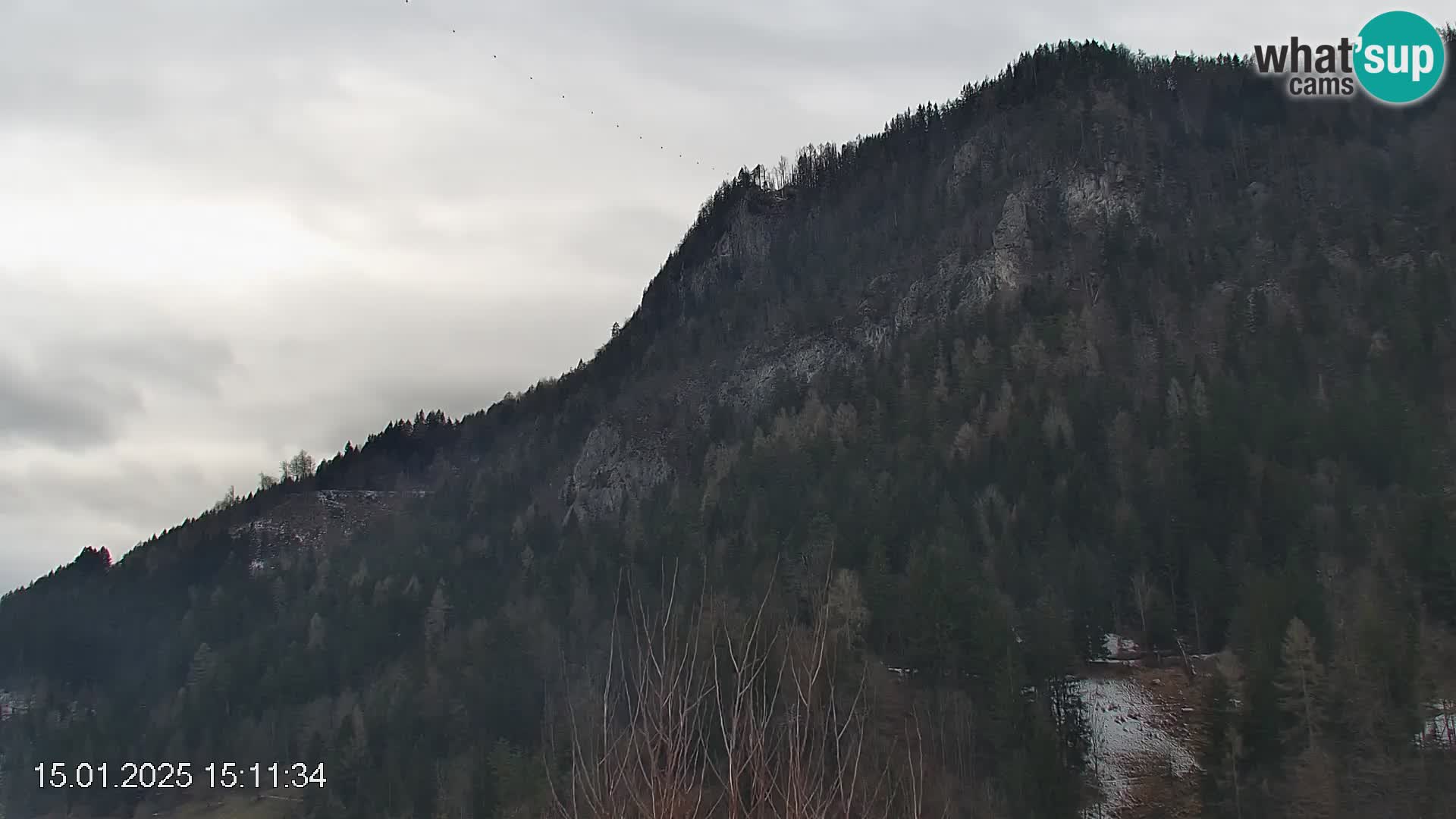 Črna na Koroškem ski slope | Koroška | Slovenia