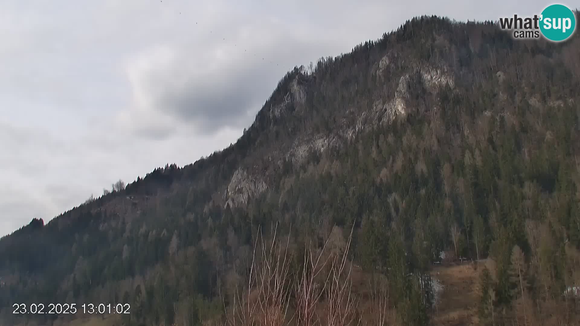 Piste de ski Črna na Koroška | Carinthie | Slovénie