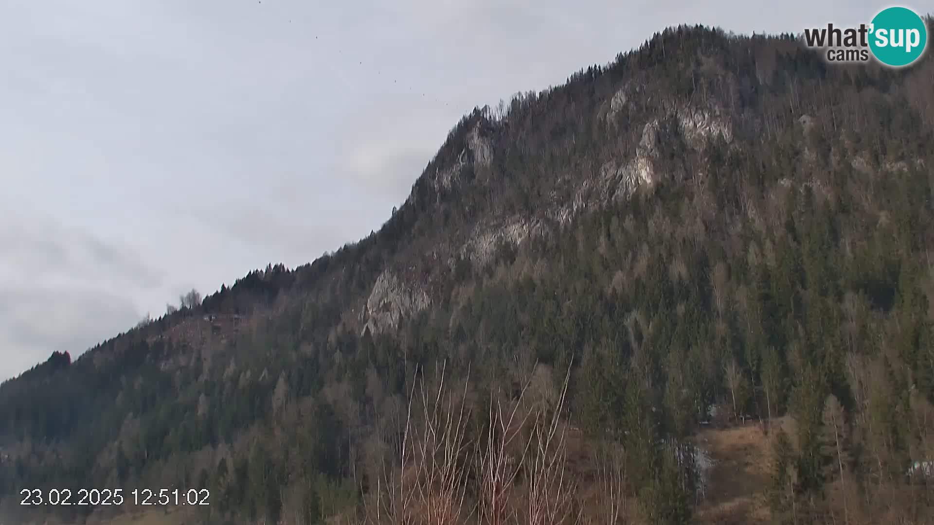 Stazione sciistica Črna na Koroškem | Carinzia | Slovenia