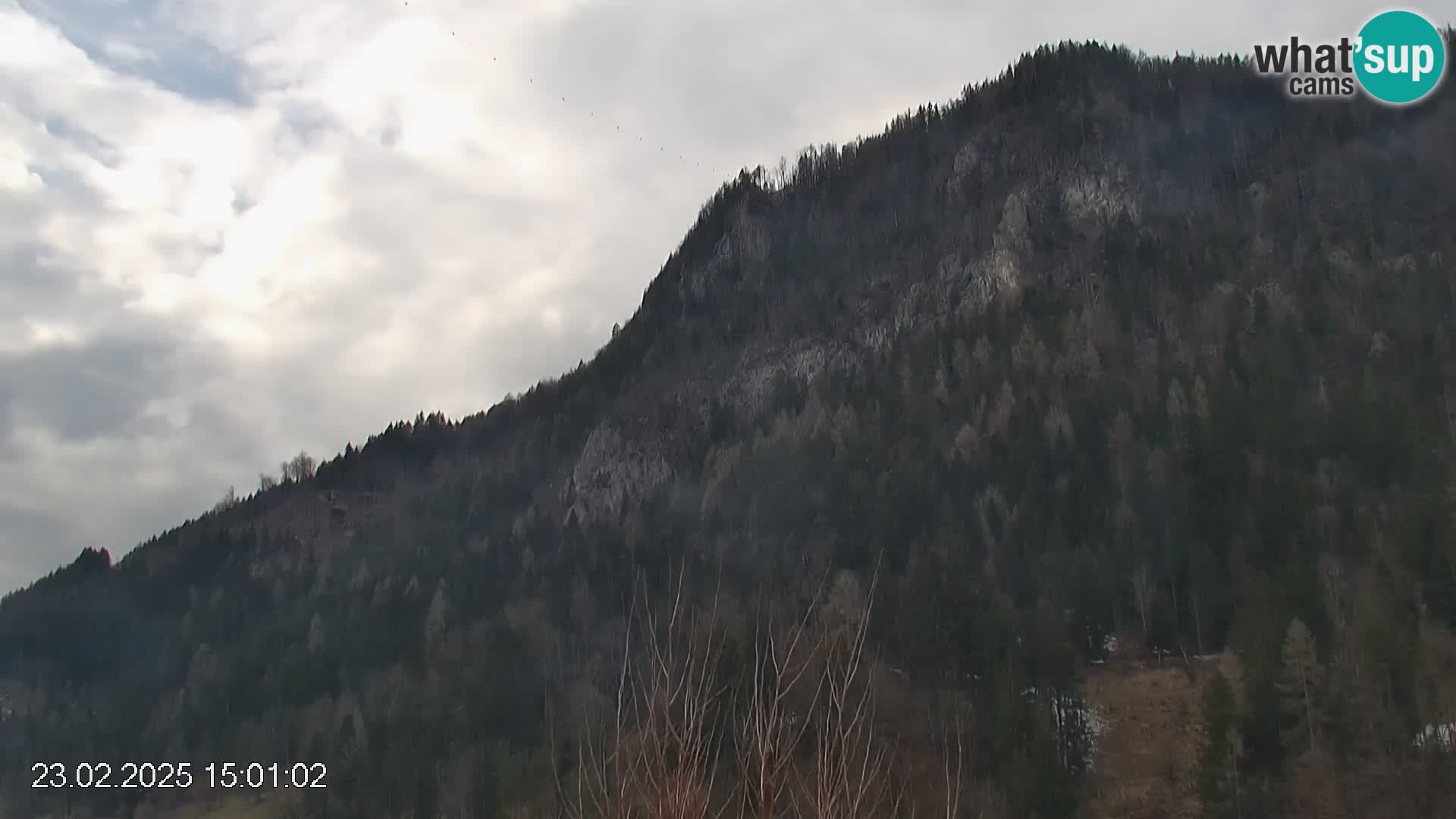 Stazione sciistica Črna na Koroškem | Carinzia | Slovenia