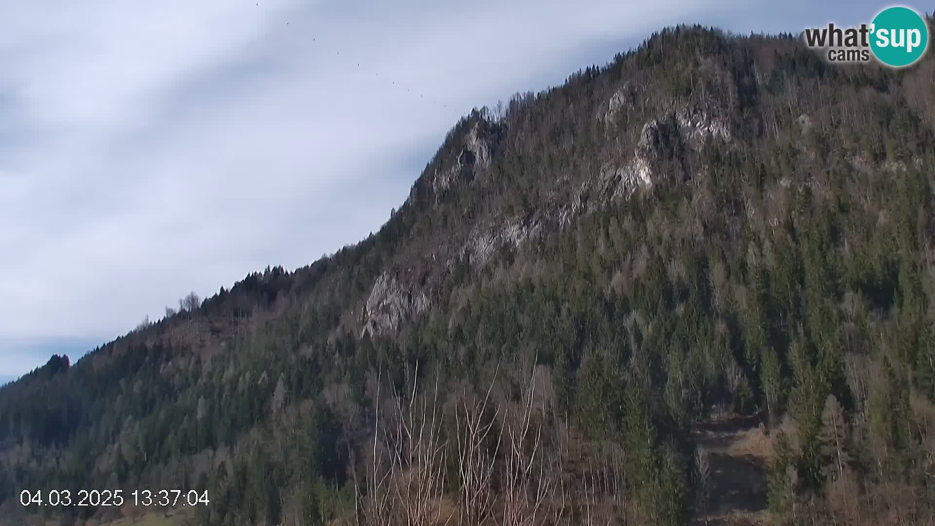 Piste de ski Črna na Koroška | Carinthie | Slovénie