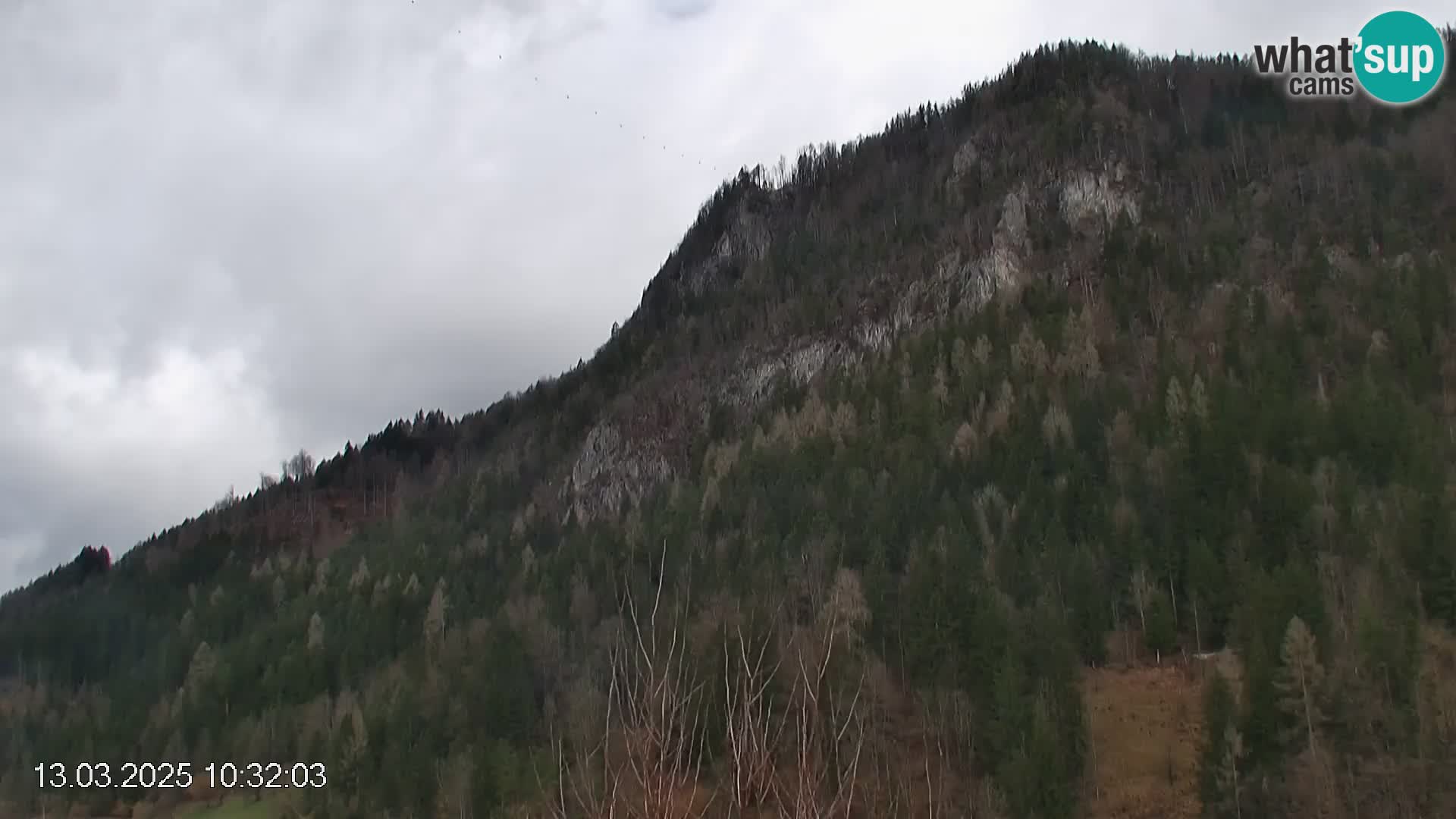 Piste de ski Črna na Koroška | Carinthie | Slovénie