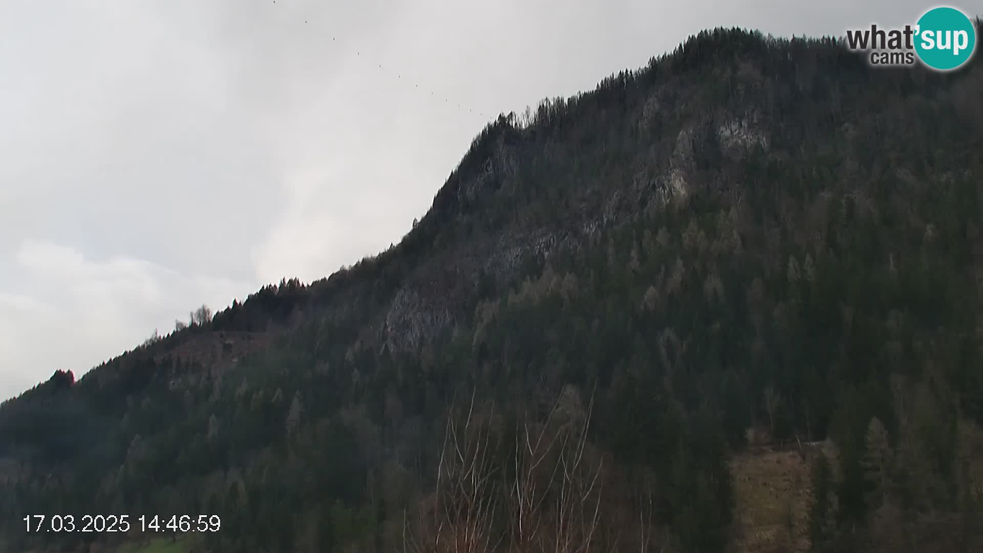 Črna na Koroškem ski slope | Koroška | Slovenia