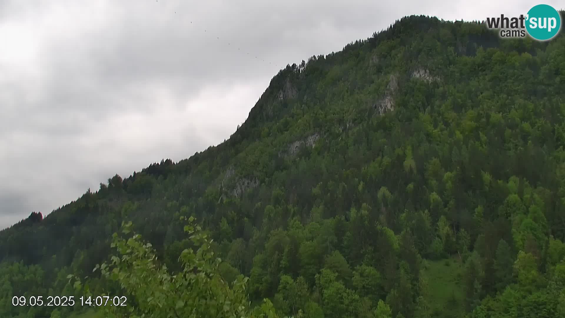 Piste de ski Črna na Koroška | Carinthie | Slovénie