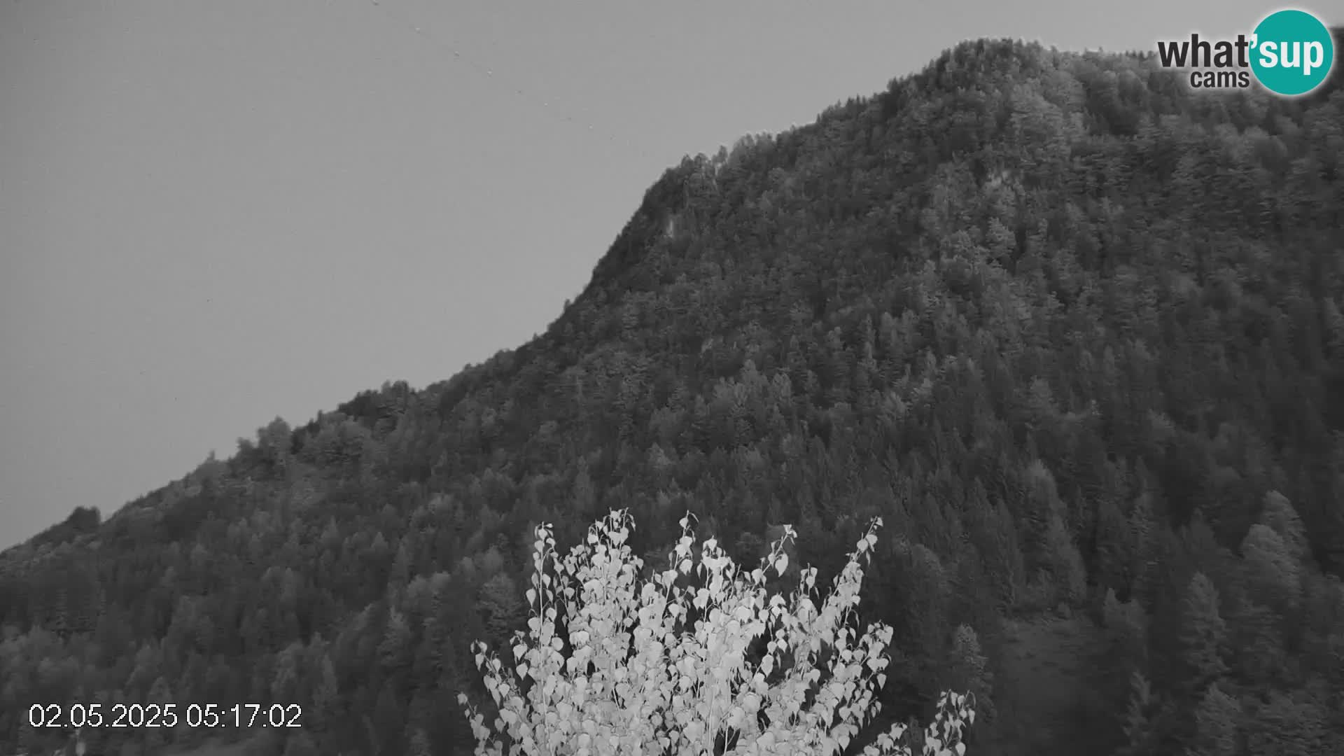 Stazione sciistica Črna na Koroškem | Carinzia | Slovenia