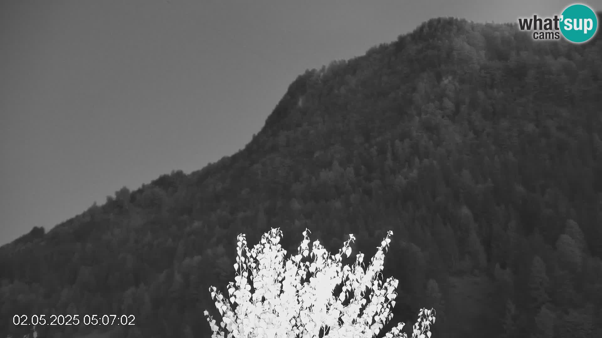 Stazione sciistica Črna na Koroškem | Carinzia | Slovenia