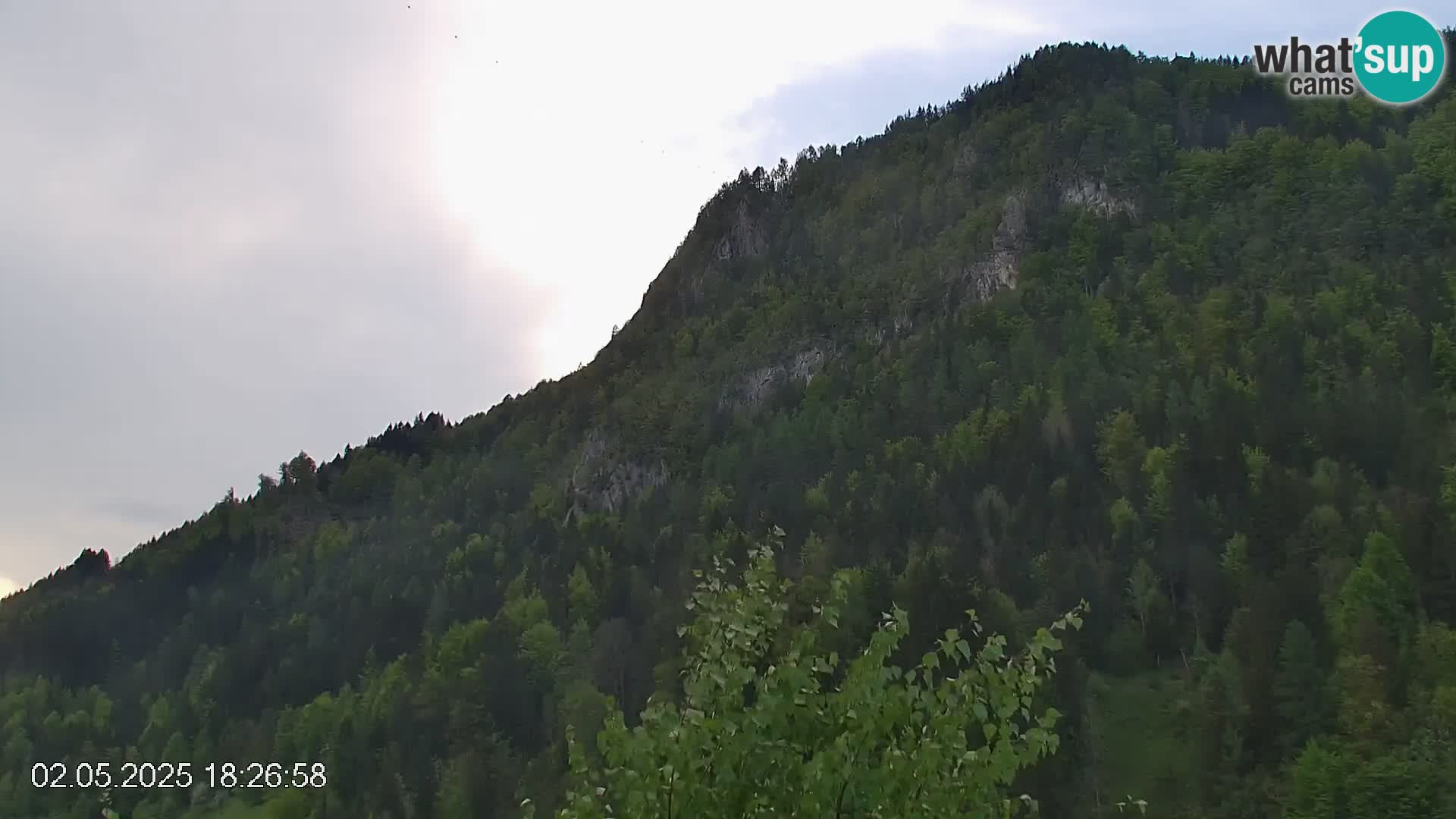 Črna na Koroškem ski slope | Koroška | Slovenia