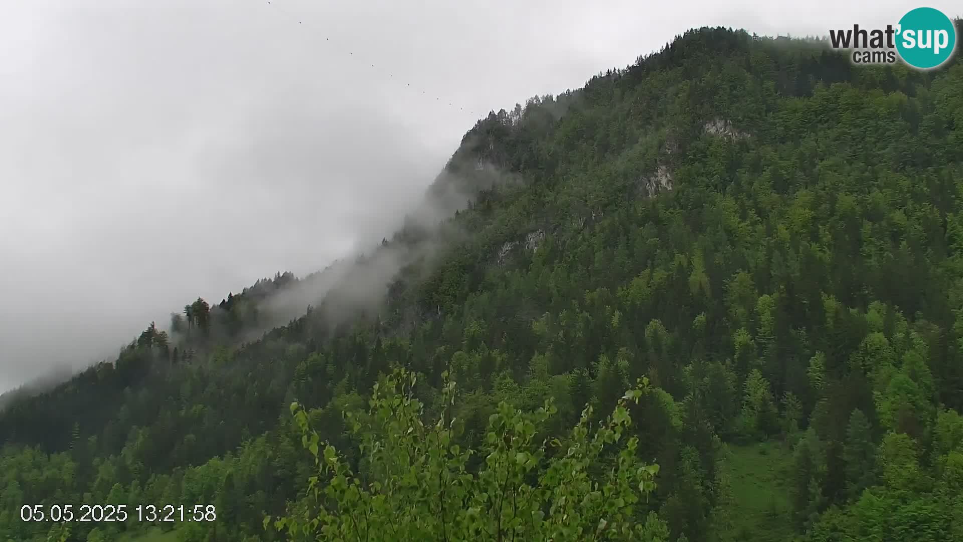 Črna na Koroškem ski slope | Koroška | Slovenia