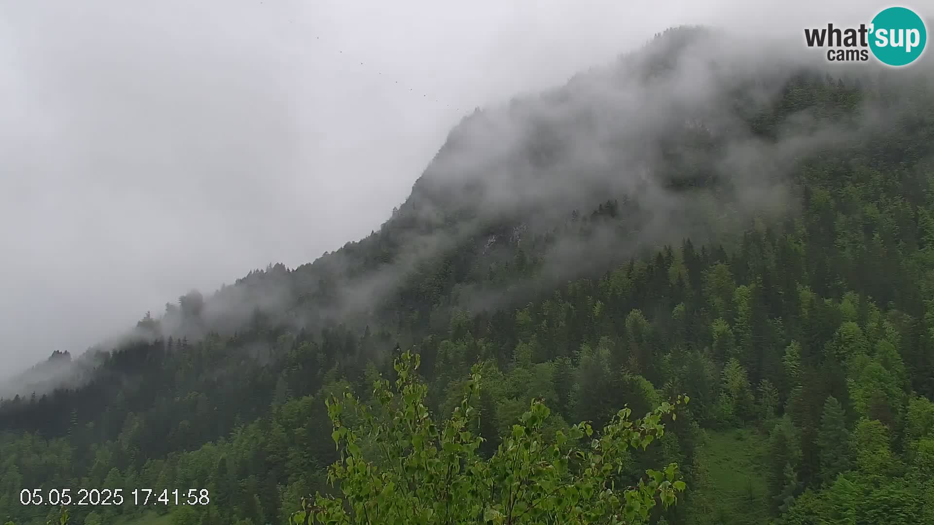 Črna na Koroškem ski slope | Koroška | Slovenia