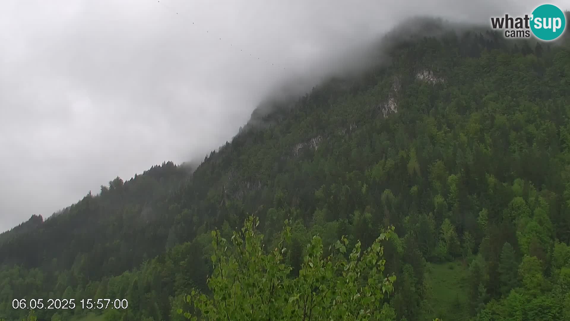 Stazione sciistica Črna na Koroškem | Carinzia | Slovenia