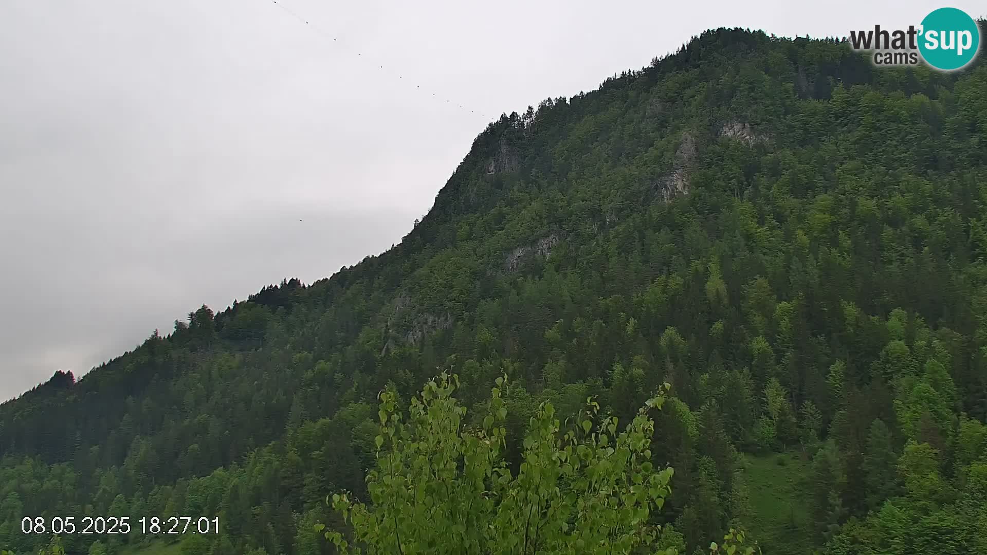 Črna na Koroškem ski slope | Koroška | Slovenia