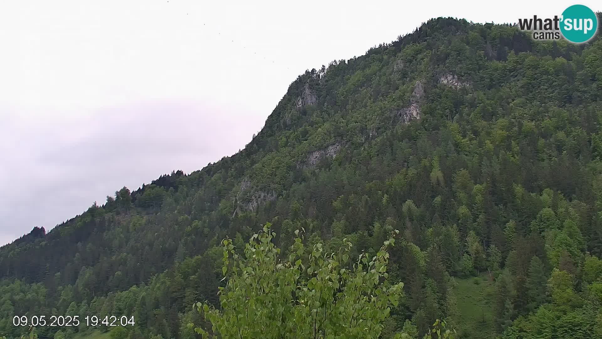 Pista de esquí de Črna na Koroška | Carintia | Eslovenia
