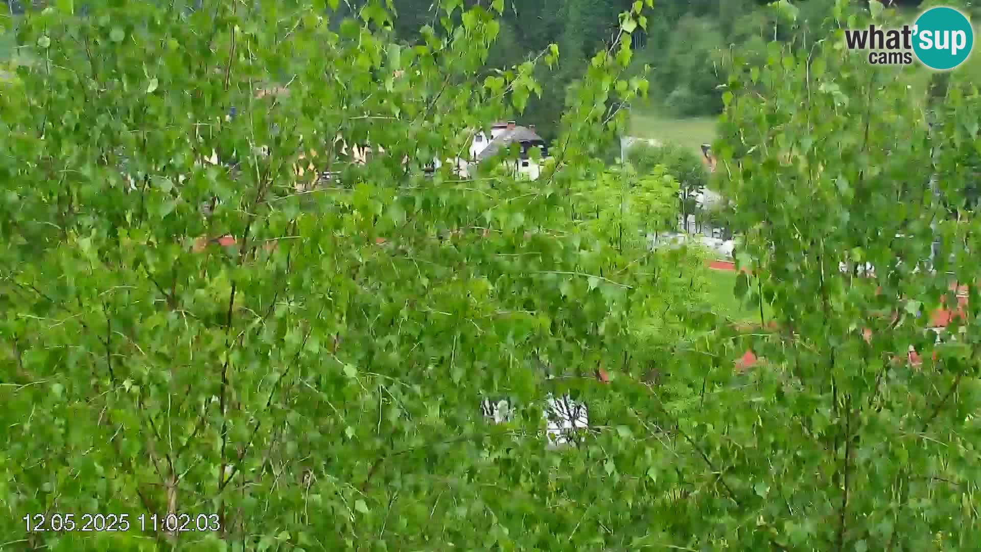 Pista de esquí de Črna na Koroška | Carintia | Eslovenia