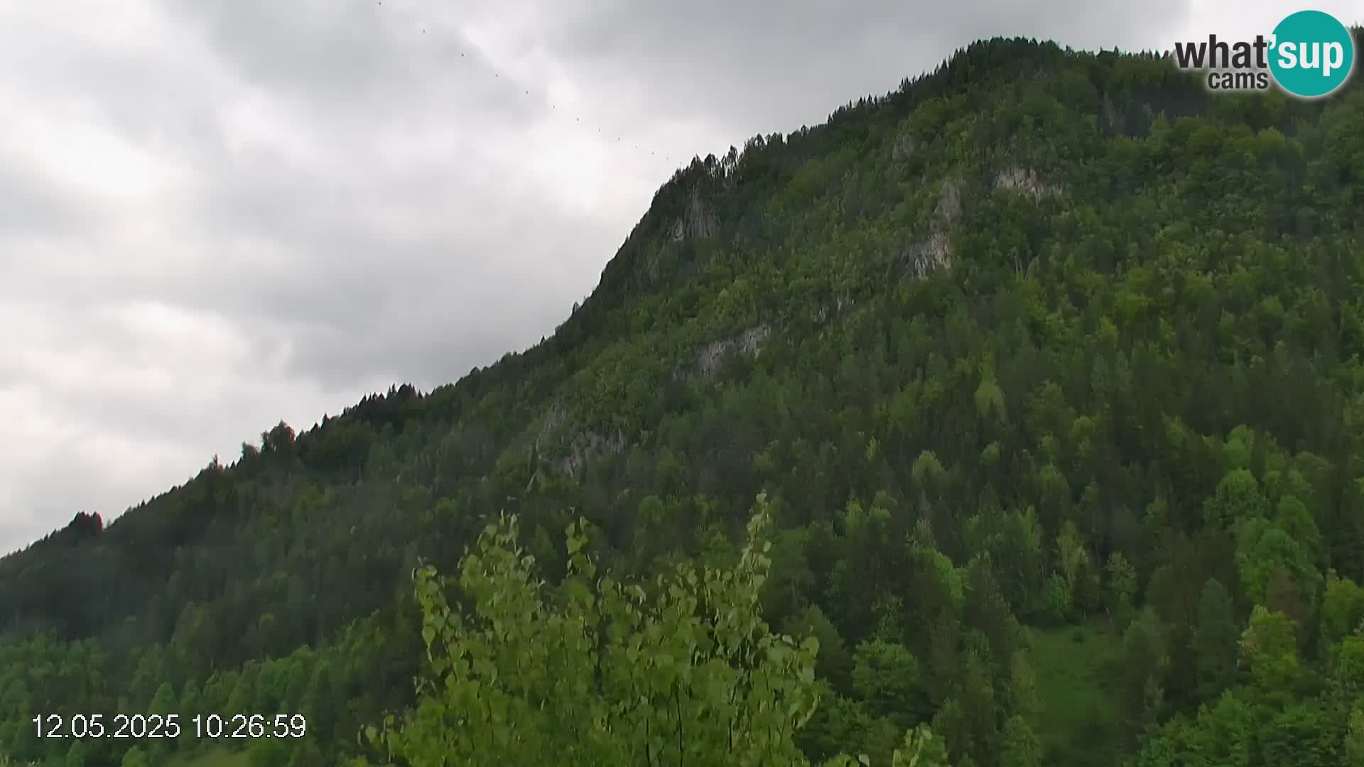 Skipiste Črna na Koroška | Kärnten | Slowenien