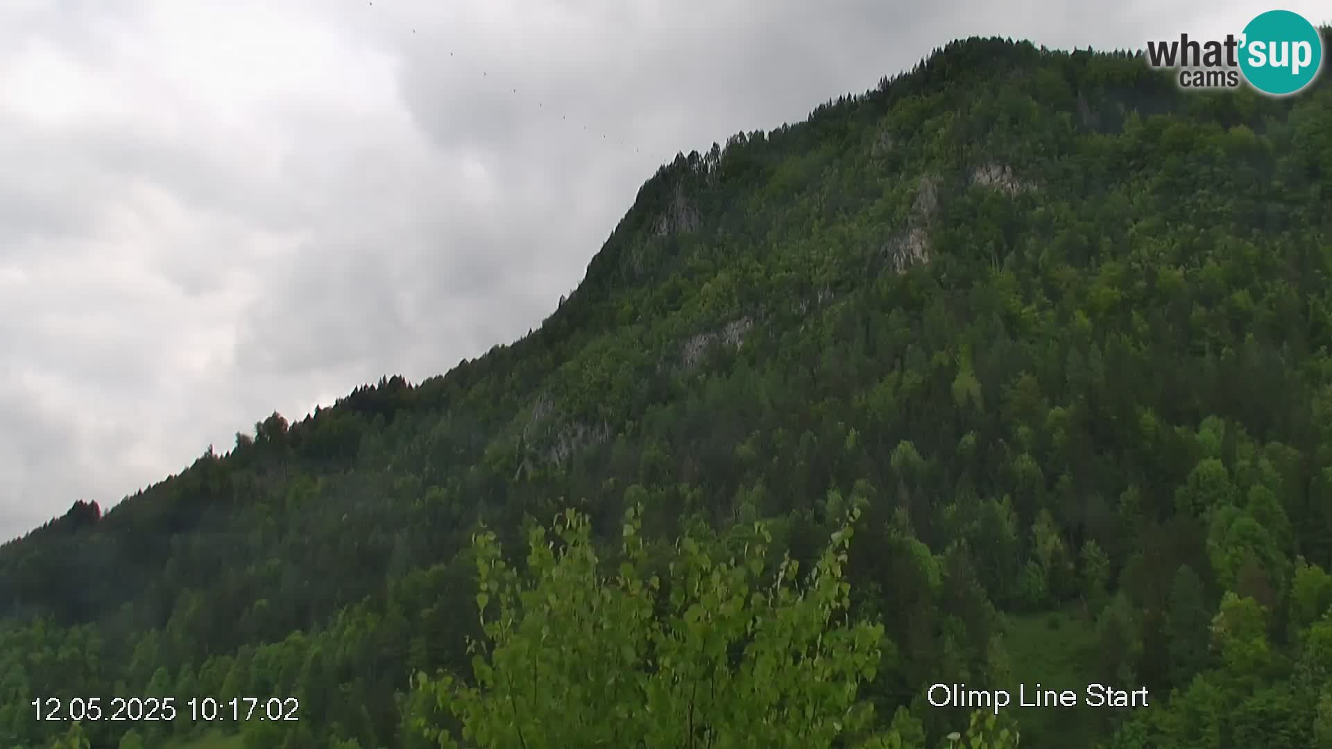 Stazione sciistica Črna na Koroškem | Carinzia | Slovenia