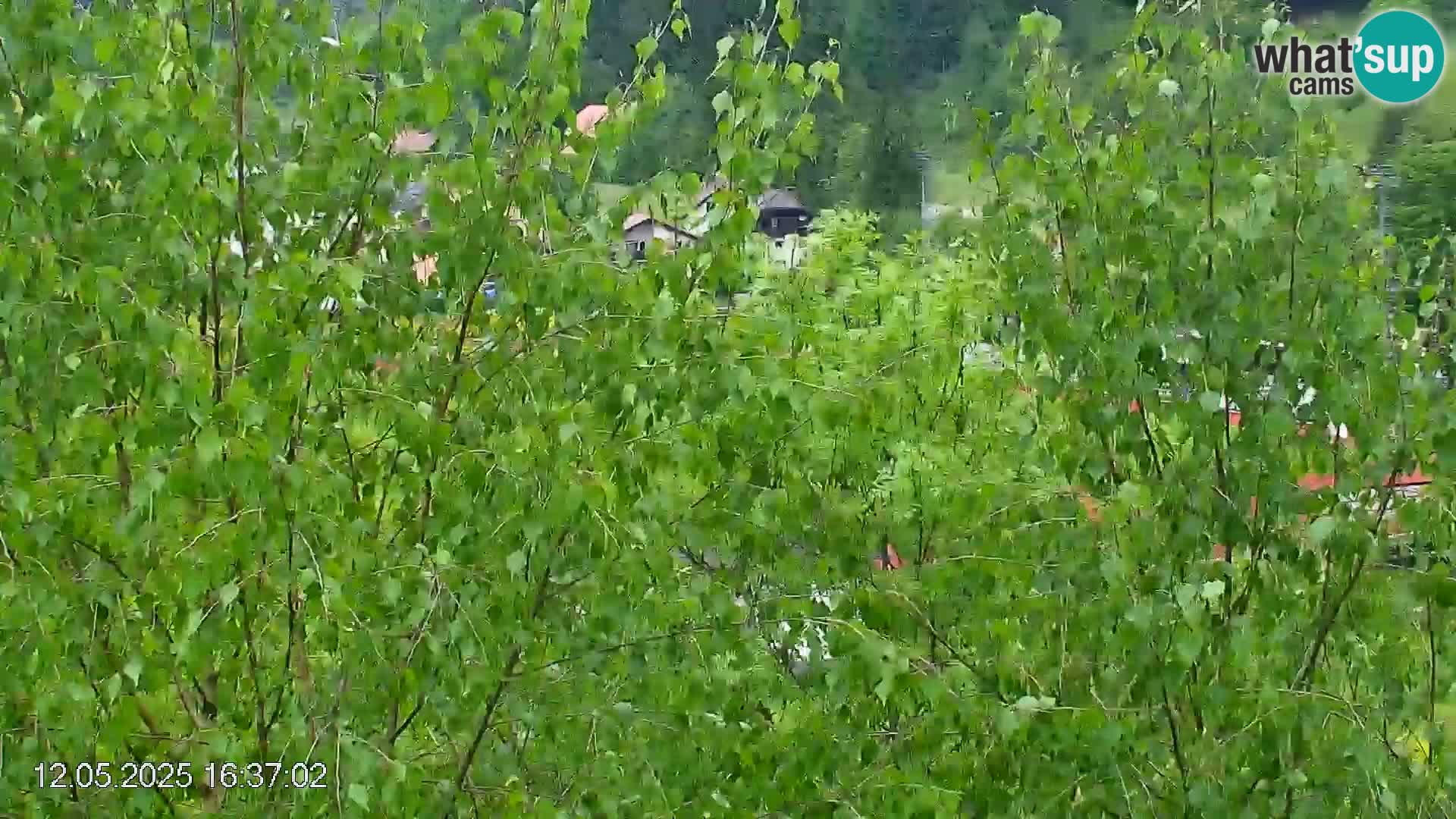Pista de esquí de Črna na Koroška | Carintia | Eslovenia