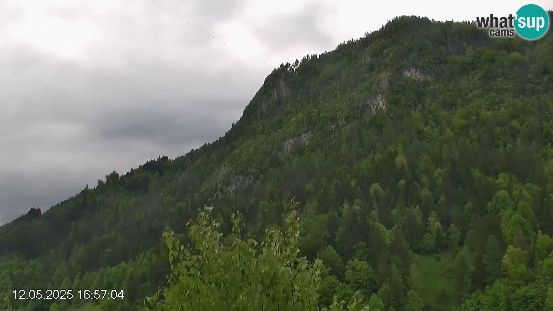 Smučišče Črna na Koroškem | Koroška | Slovenija